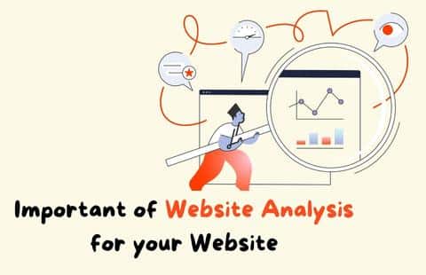 website Analysis