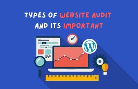 website auditing